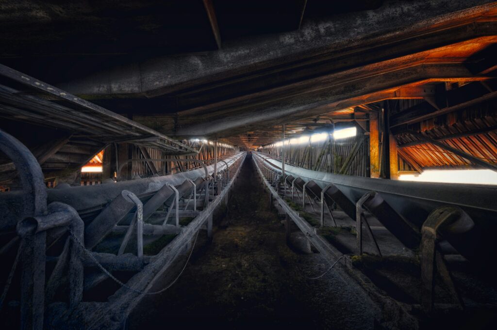 peter herrmann 4yerbksq da unsplash